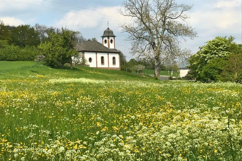 am Schäferhof - foto 28