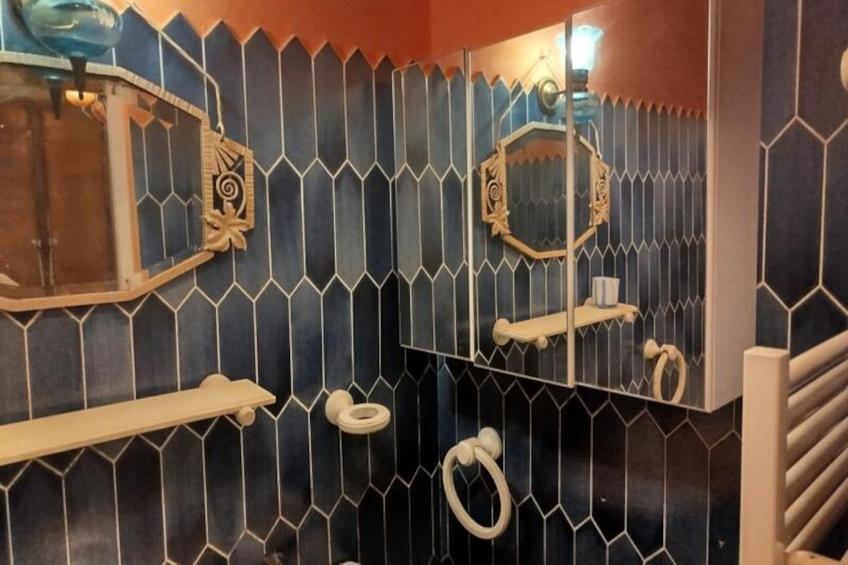 Maison De Charme Ancienne Entre Lacs Et Rhône - foto 11