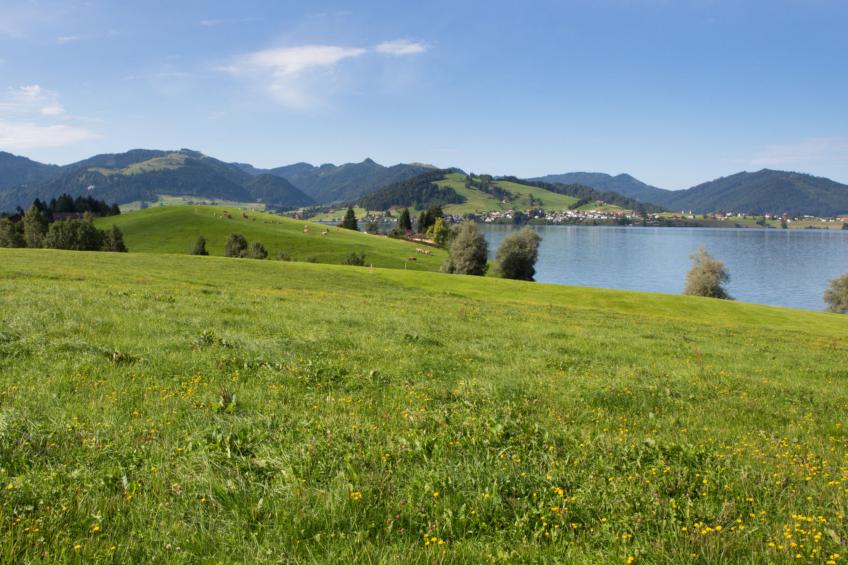 Ferienhof am See – Willerzell, (Willerzell), - foto 26