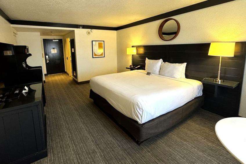 Pet Friendly King  Las Vegas Stay - foto 20