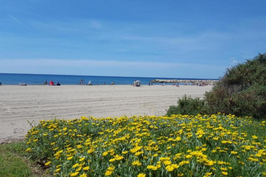 La Llosa Mestral- BUNGALOWS-G - foto 30