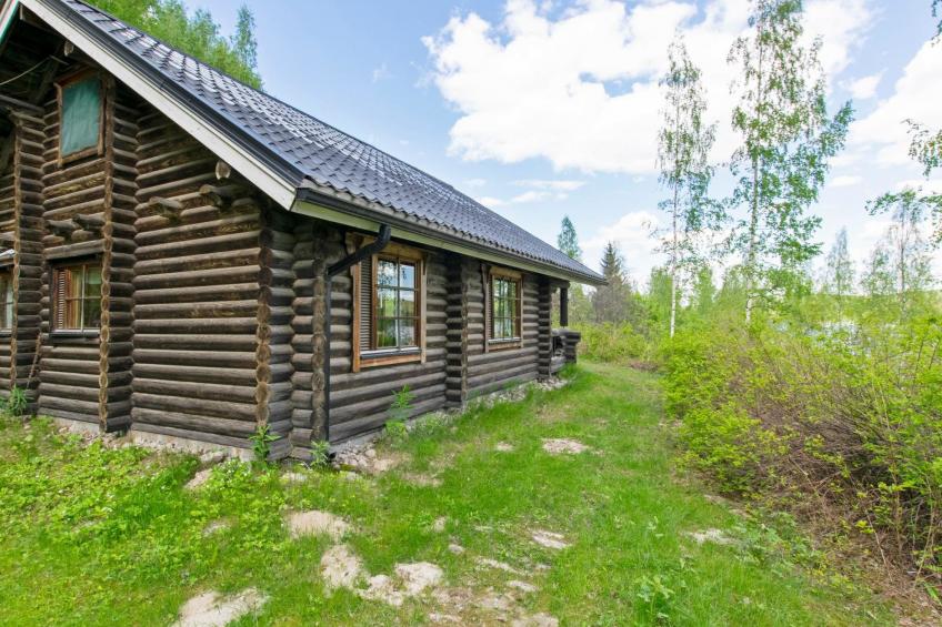 Heinäsorsa - foto 19