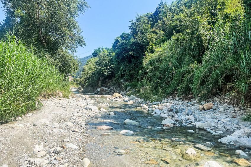 Le radici dell´ulivo - foto 27