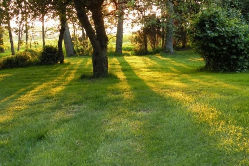 Altes Pastorenhus - foto 20