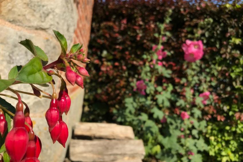 Unterkunft auf dem Bauernhof "La printanière" (Die Frühlingsfrau) - foto 24