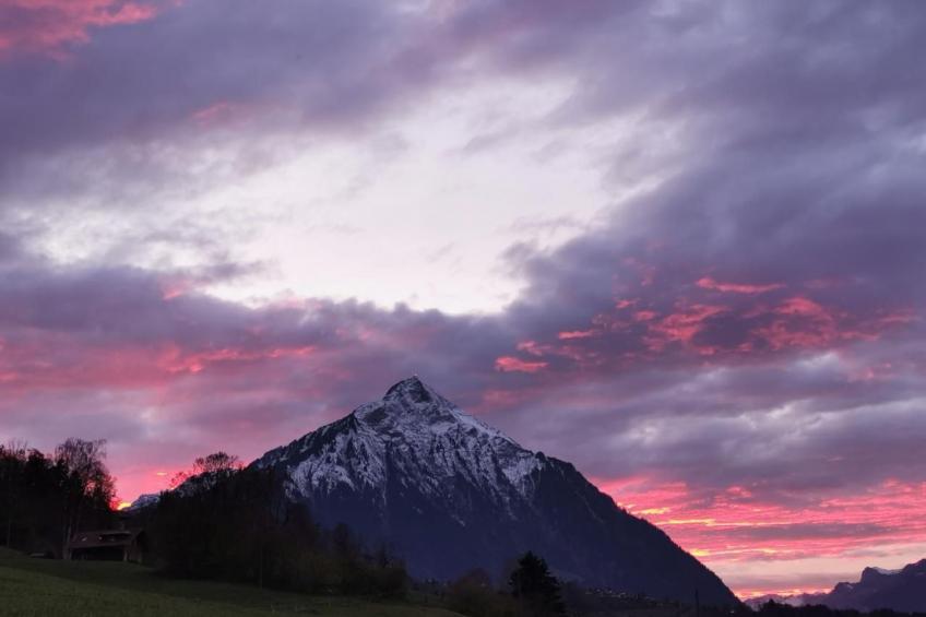 Traumblick Krattigen - foto 14