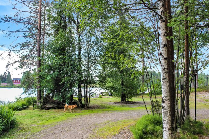 Hamppulahti - foto 5