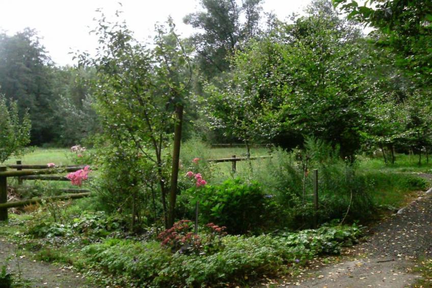 Ericaheidepark - foto 19