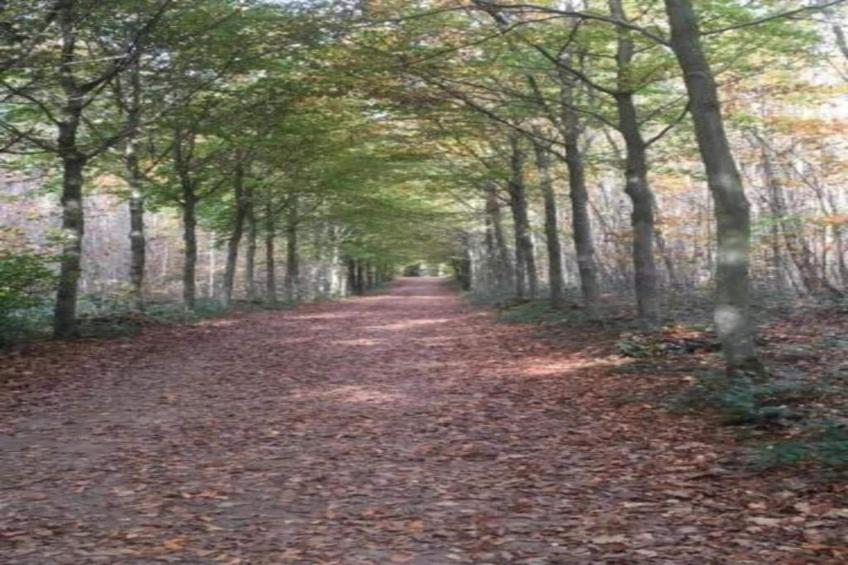 Mas du Puits - foto 37