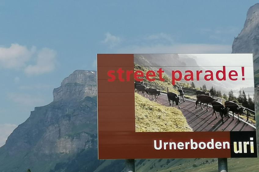 Mattishüüsli - foto 17