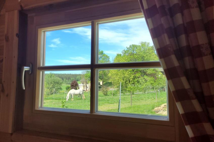 Fichtel-Pod gegen Aufpreis mit Sauna oder Hot Tub - foto 6