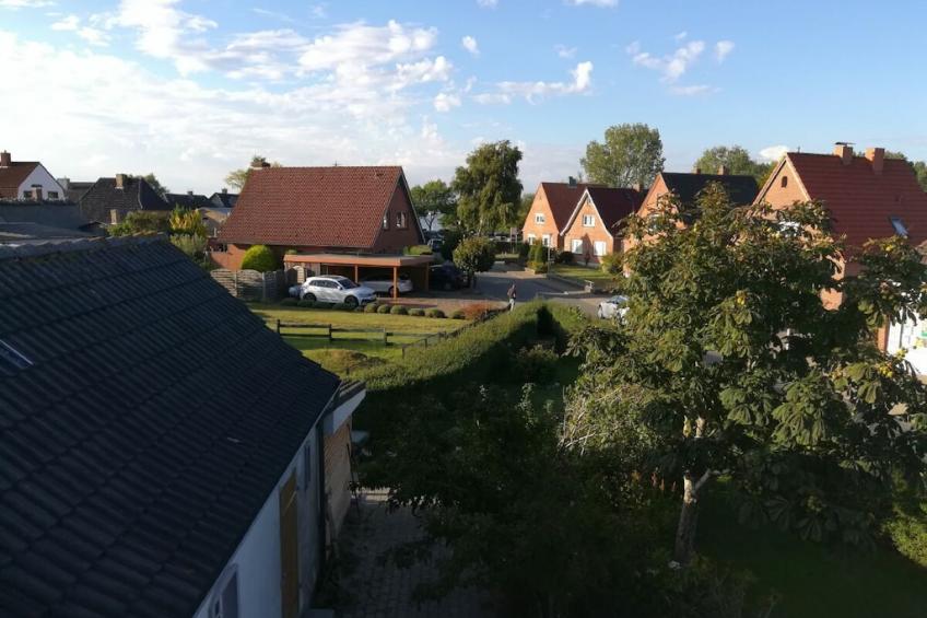 780973 - foto 3