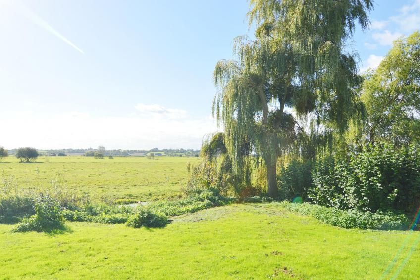 Gite Le Jonquet - foto 32