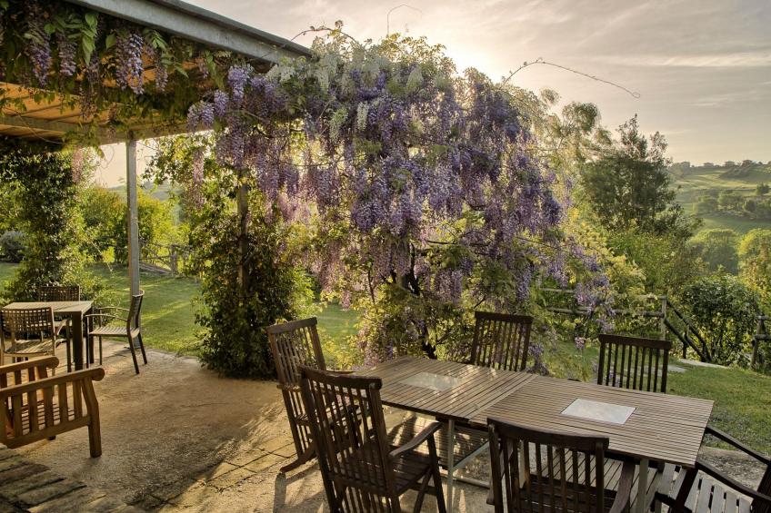 Haus in Ostra mit privatem Pool - foto 4