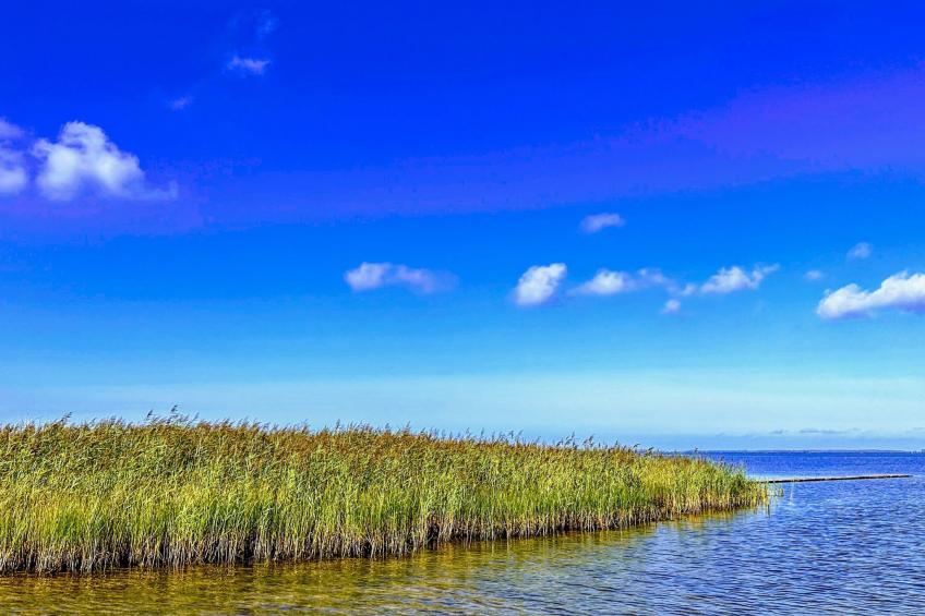 Boddenblick Klausdorf Am Nationalpark - foto 31