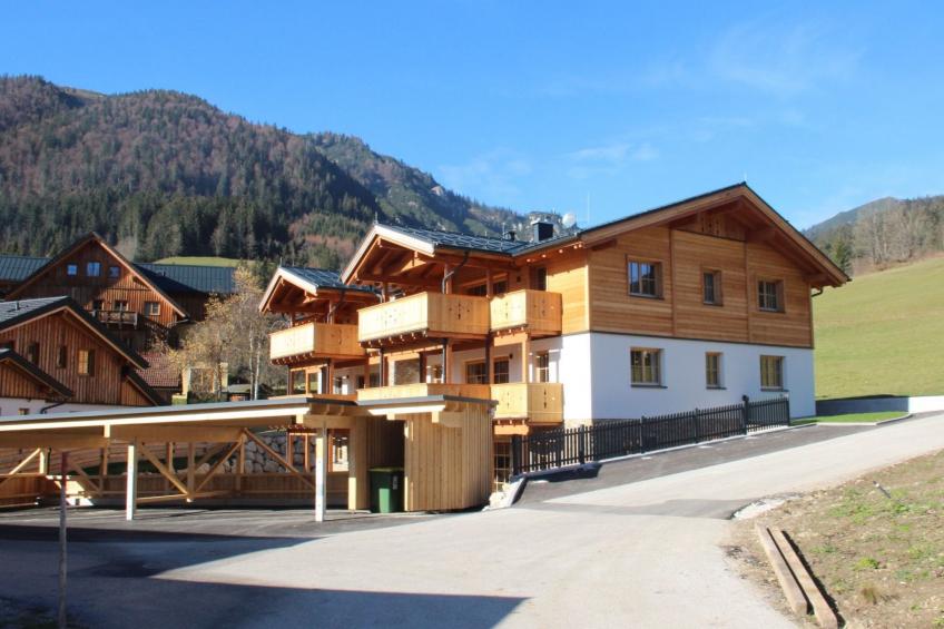 in Rußbach Am Pass Gschütt mit Garten, Terrasse und Grill - foto 12