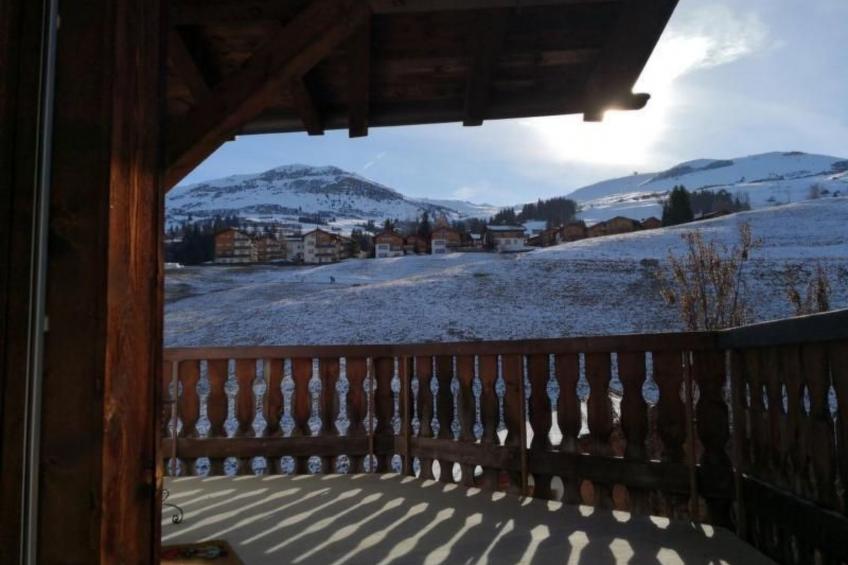 Soldanella - foto 10