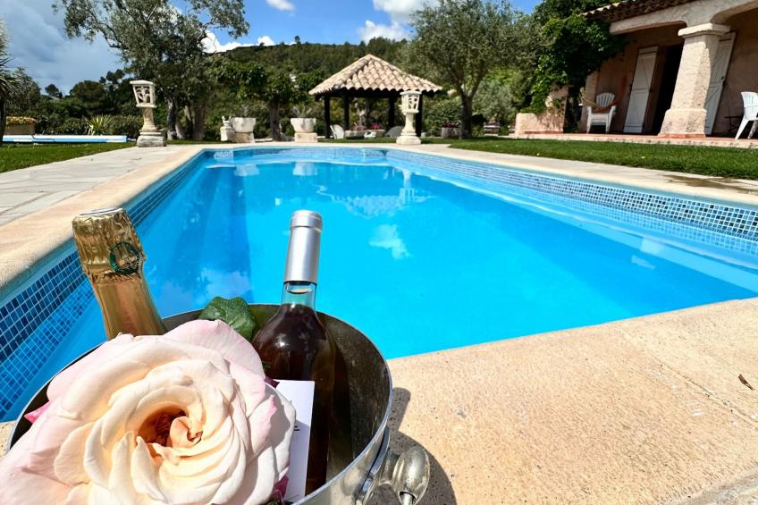 beheizter Pool ab Mitte April - foto 3