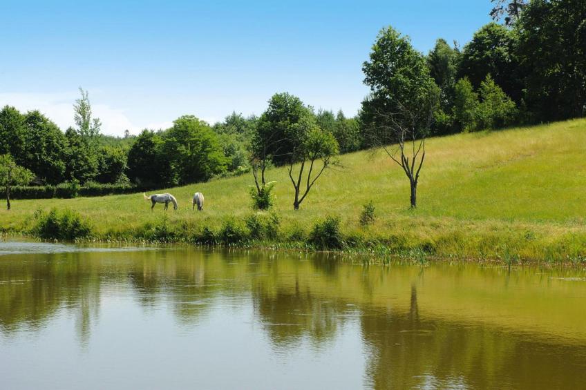 Appartementen, Rekowo - Type B - foto 15