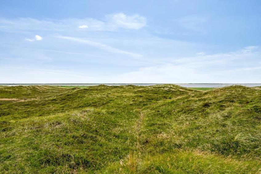 "Leona" - 250m to the inlet in Western Jutland - foto 12