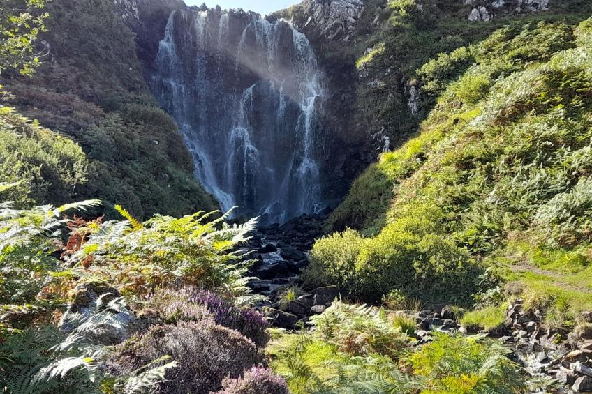 West Horizon Ferienhaus - foto 19