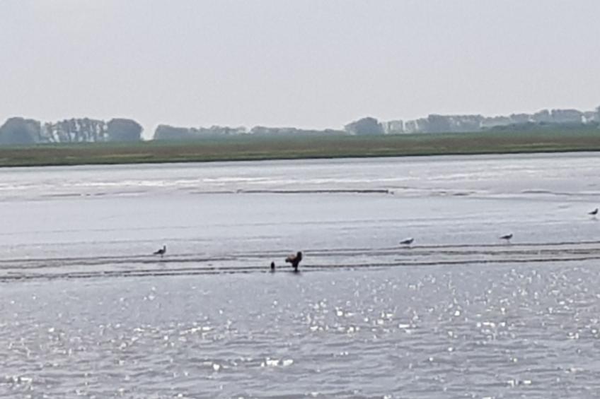 Beim Bracksee - foto 20