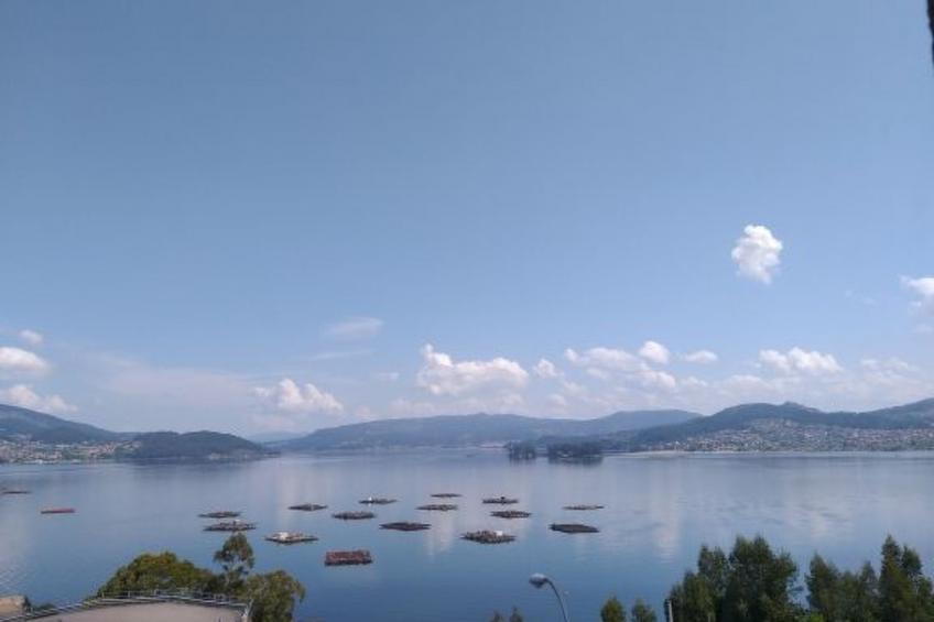 für 12 Personen und 2 Kinder in Redondela, Costa Verde Spanien (Rías Baixas) - foto 6