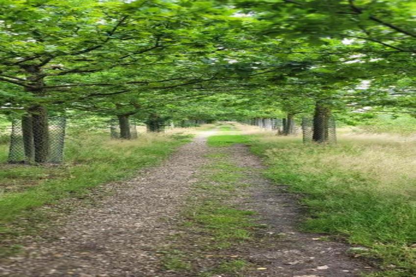 Vakantiepark Sandberghe 13 - foto 29