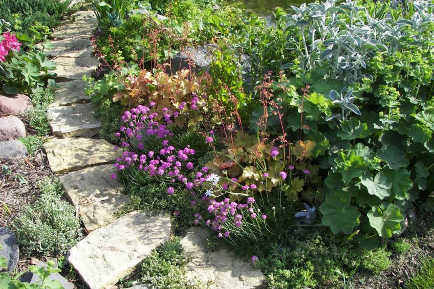 in ruhiger Lage am Waldrand - foto 13