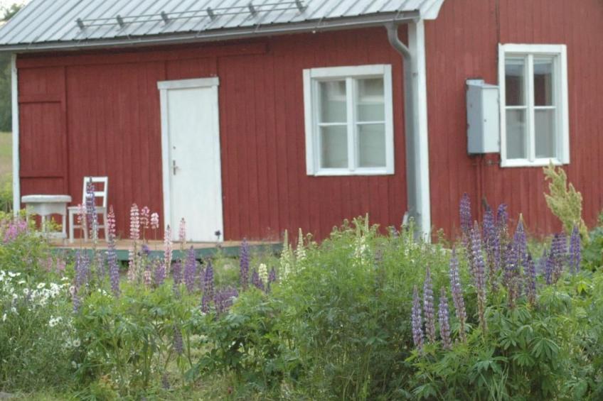 in Vindeln mit Garten, Terrasse und Grill - foto 3