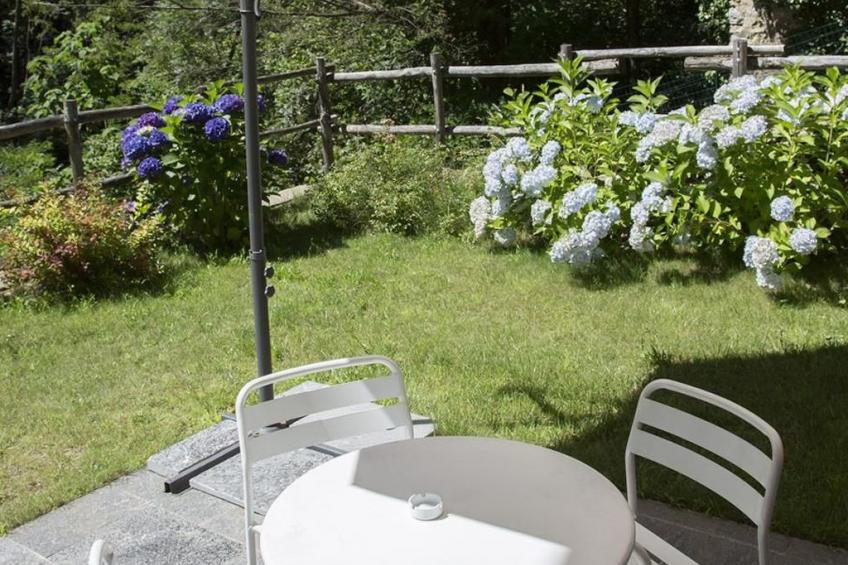 Lampone in San Bernardino Verbano - foto 10