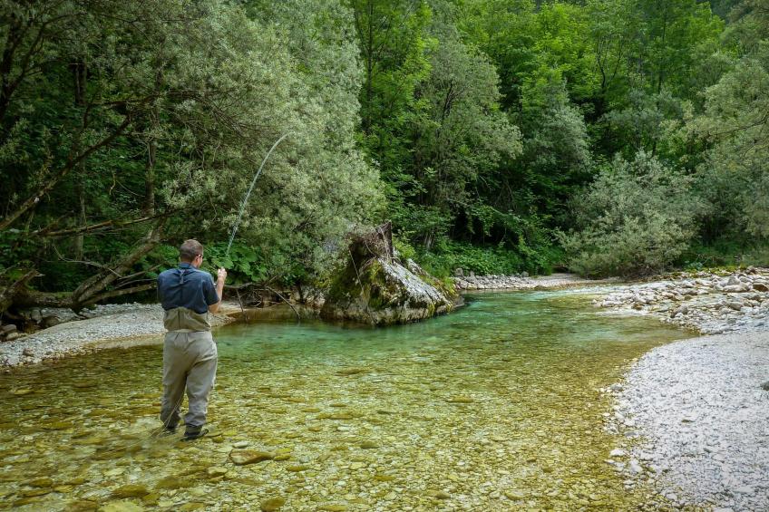 Enchanted Cosy Chalet Kalanka - foto 36