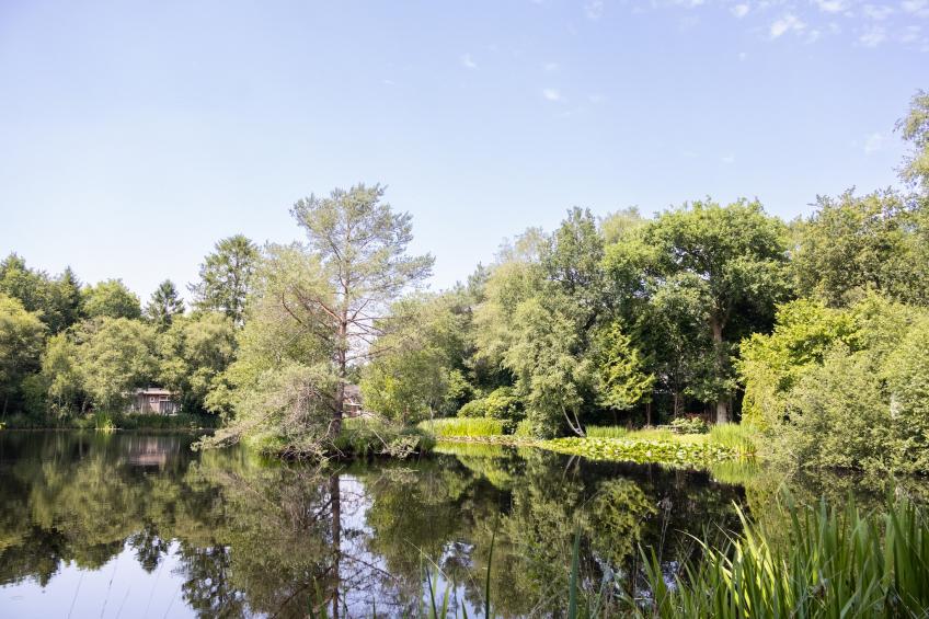 Huis in de Bossen - foto 24