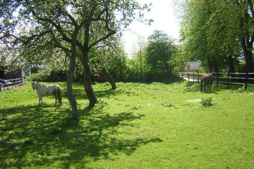 Sponbrück - foto 20