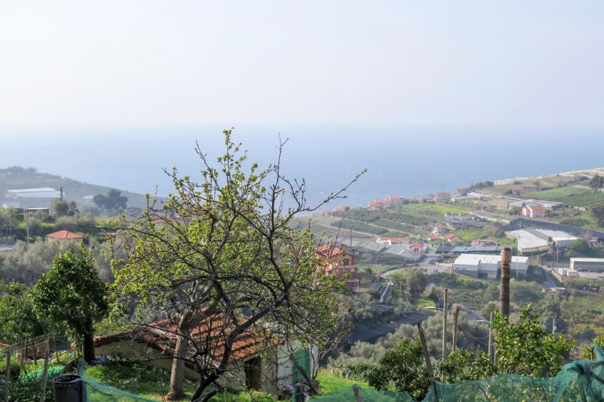 Ca' Gialla - foto 34