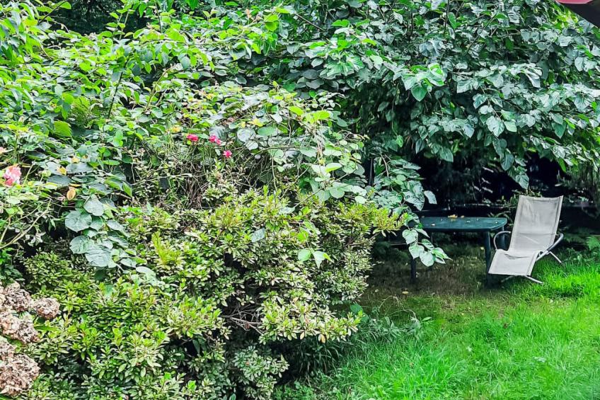 Brezzo di Bedero - foto 12