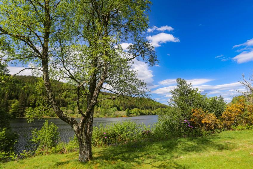 Loch Oich View (Lodge 6) - foto 63
