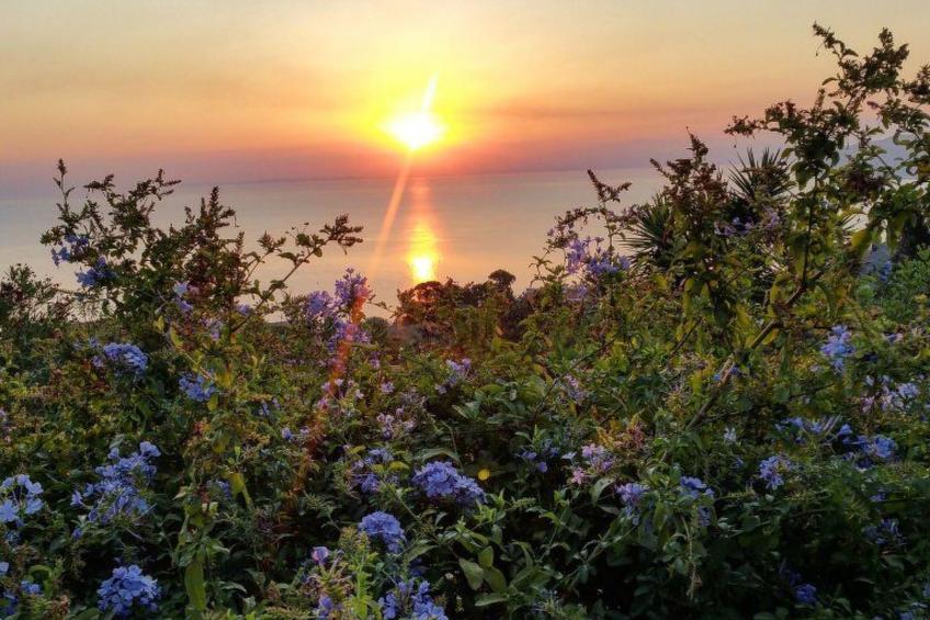 Die Villa Benincasa Wohnung mit Meerblick - foto 4