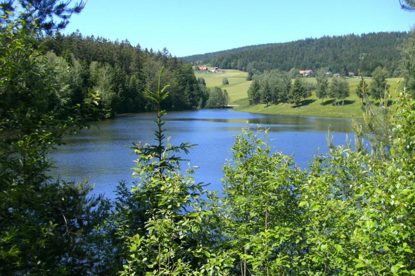 für 4 Personen im Bayerischen Wald - foto 22