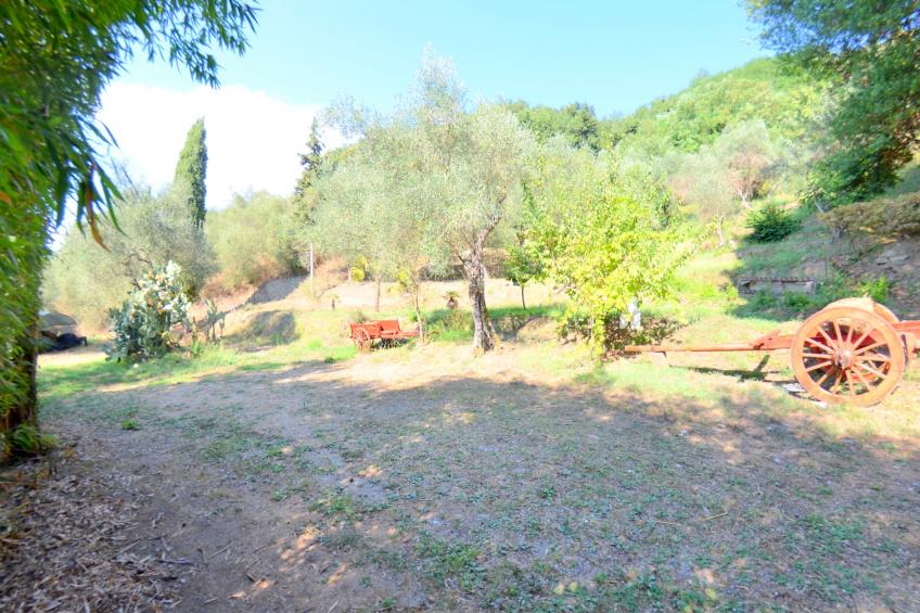 Collina Lagomare - foto 17