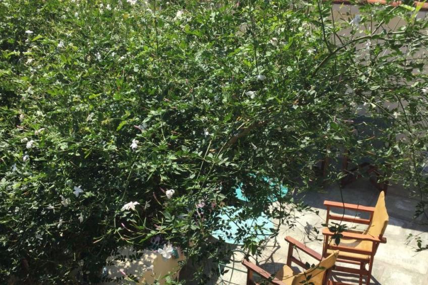 "Kyria Florenz" - foto 43