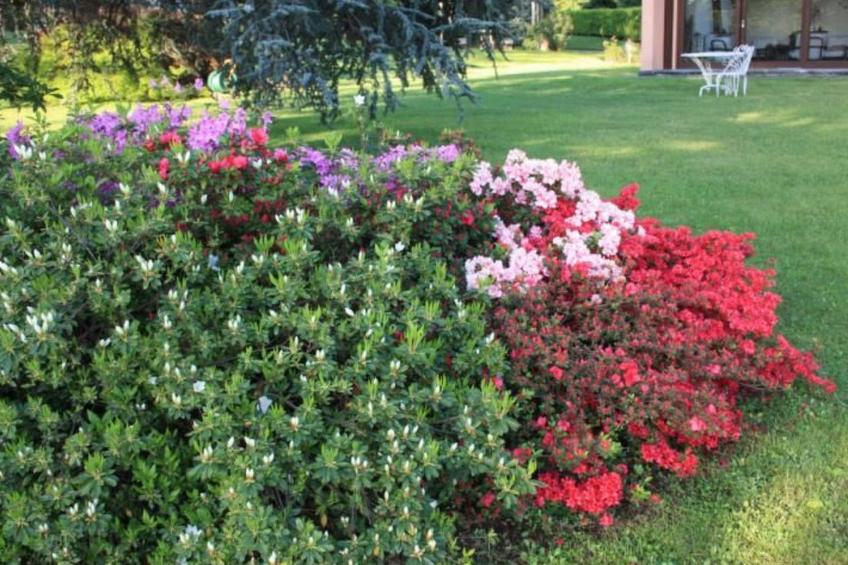 Wohnung 'La Cà Nova' mit Privatparkplatz - foto 16