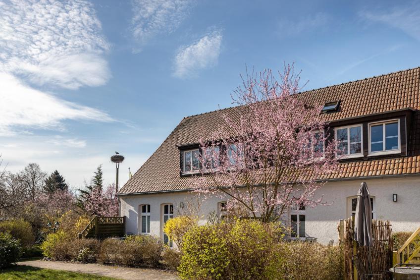 Studio 7 - Kranichhorst 3 Personen - foto 10