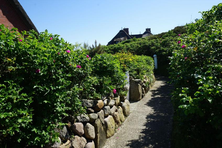 Dikstig - D8R - in Kampen auf Sylt - foto 15