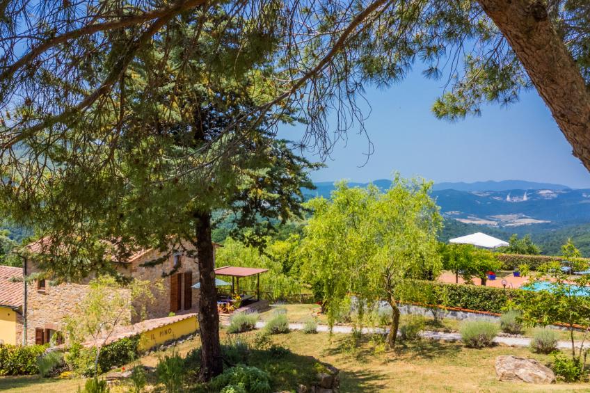 PINO DI SOPRA (CNC130) - foto 51