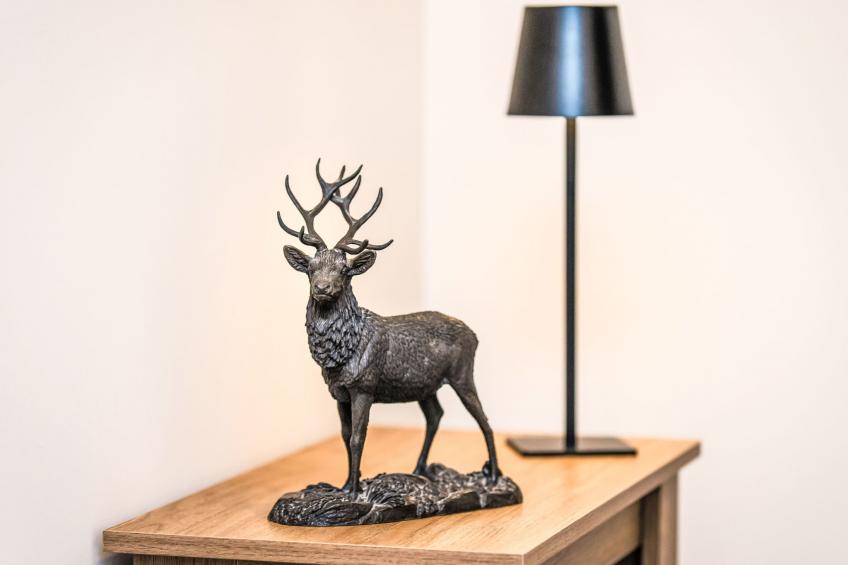 Varis Haven - foto 5