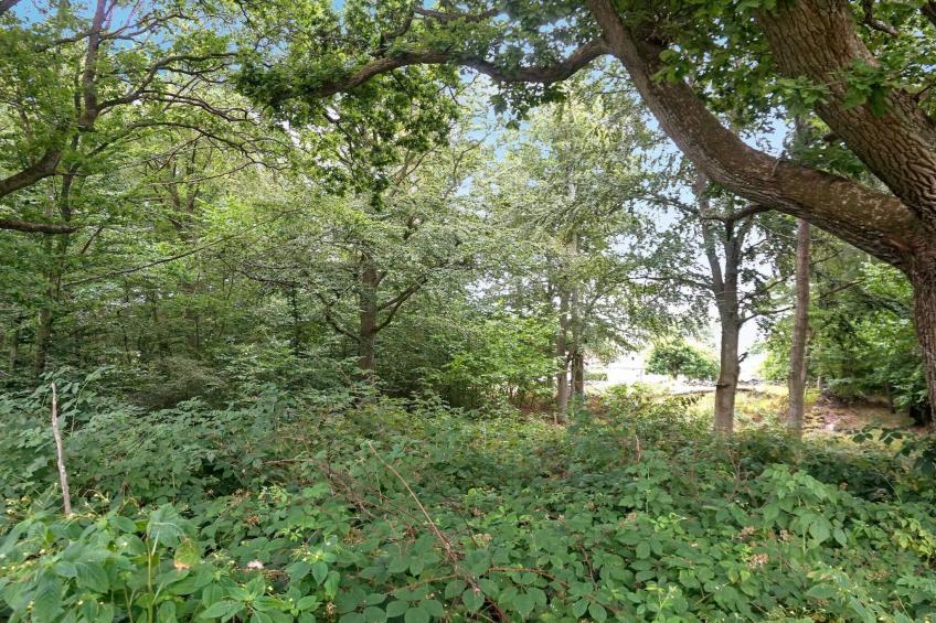 BF-26TVV - foto 9