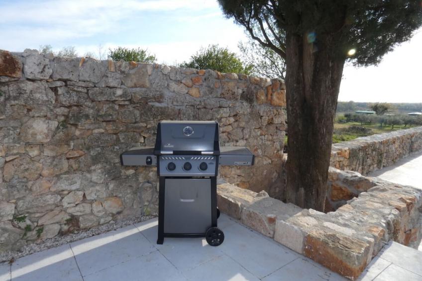 444411 - foto 7