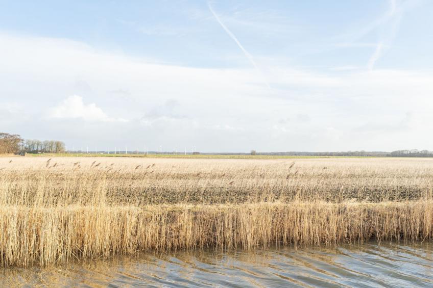 Dein zweites Zuhause an der Nordseeküste - Sauna - foto 29