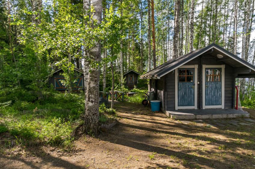 Villa kotikoivu - foto 4